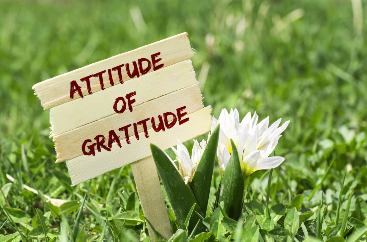 A Shift Toward Gratitude and Authenticity